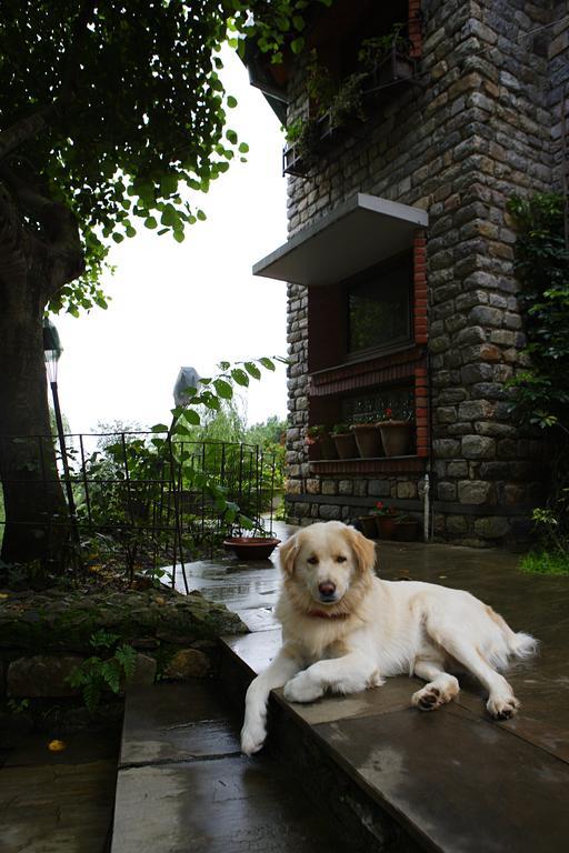 Saffronstays Himalaica, Nainital Bhowali 外观 照片