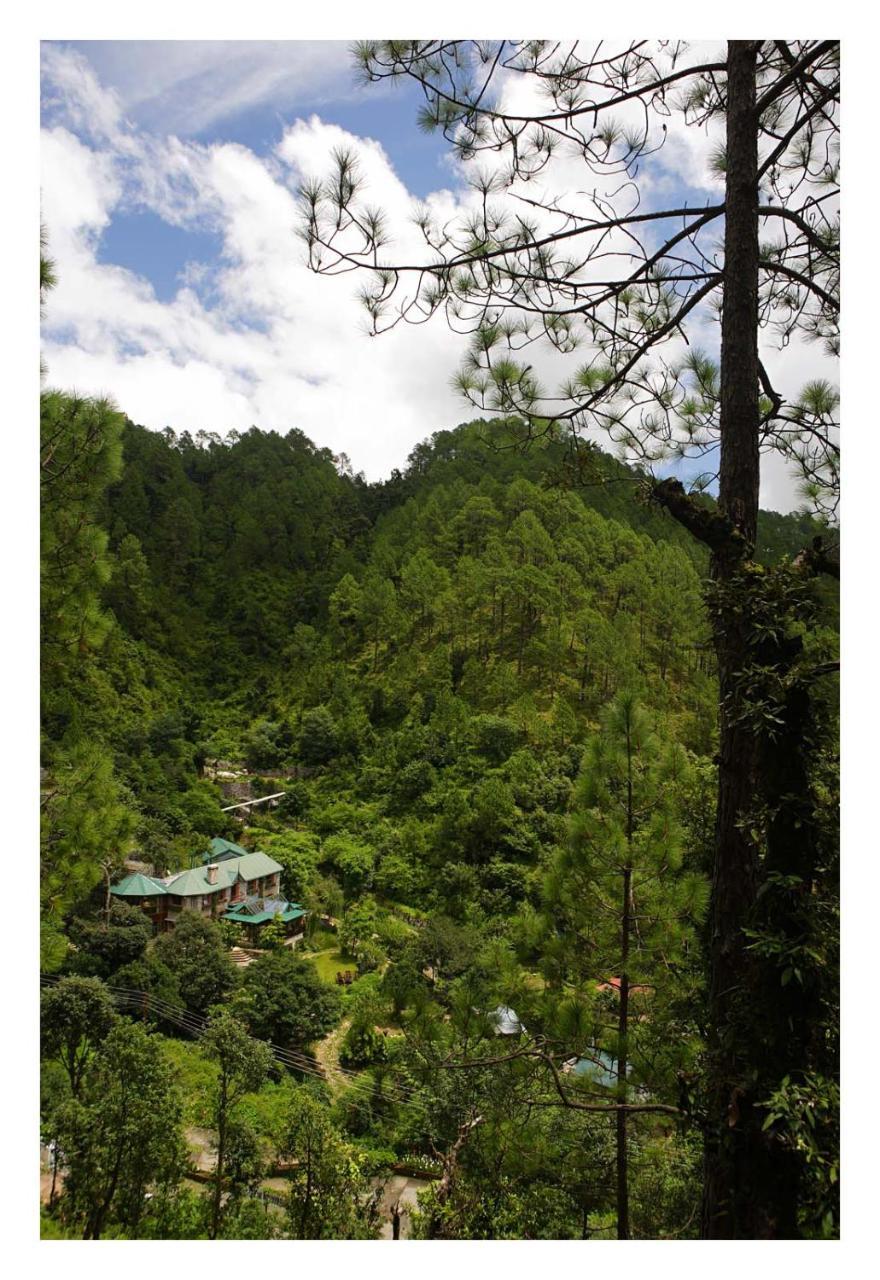 Saffronstays Himalaica, Nainital Bhowali 外观 照片